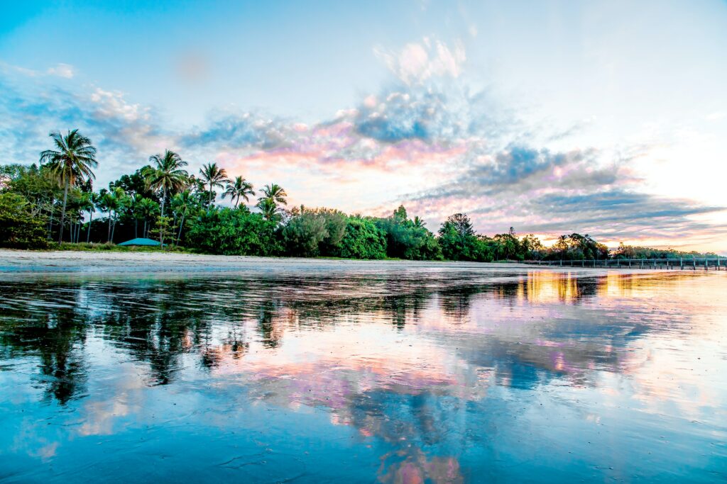 Serene tropical beach wallpaper with palm trees lush greenery calm sea and colorful sky clouds