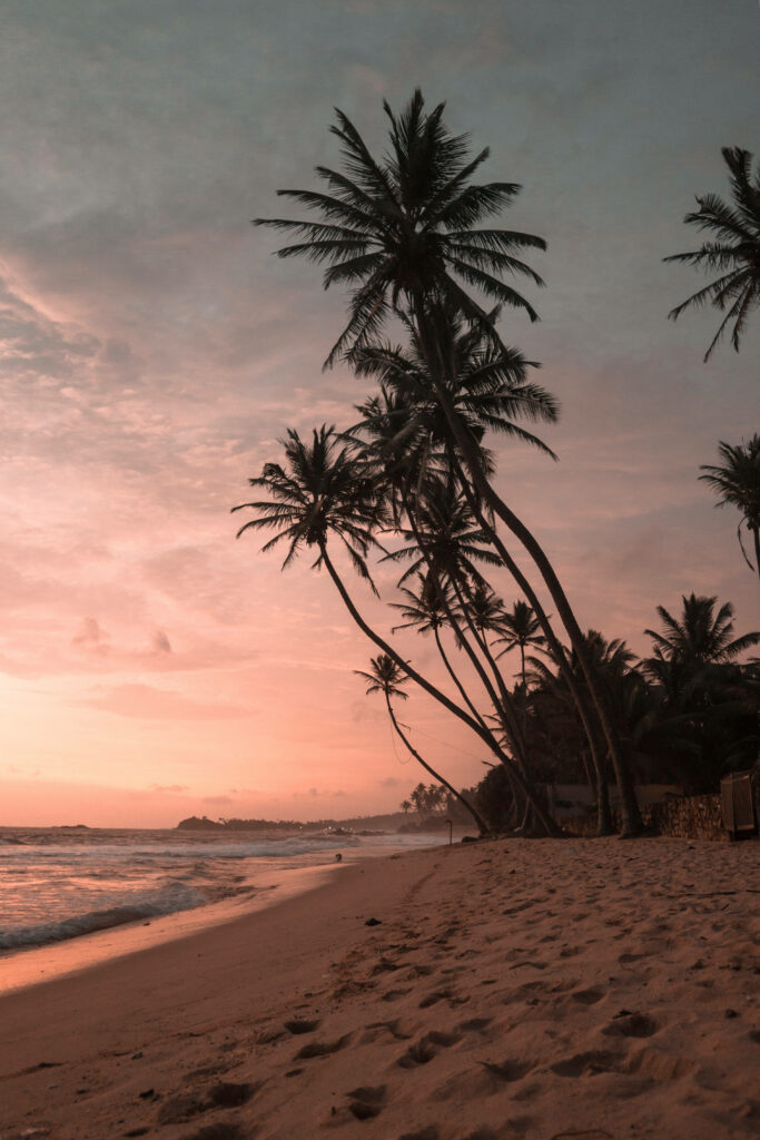 Tropical Island Beach Sunset Wallpaper with Silhouetted Palm Trees