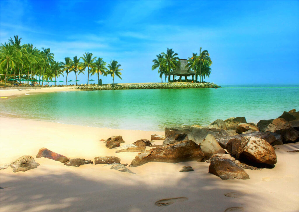 Tropical Paradise Wallpaper: Serene Island Beach & Clear Waters