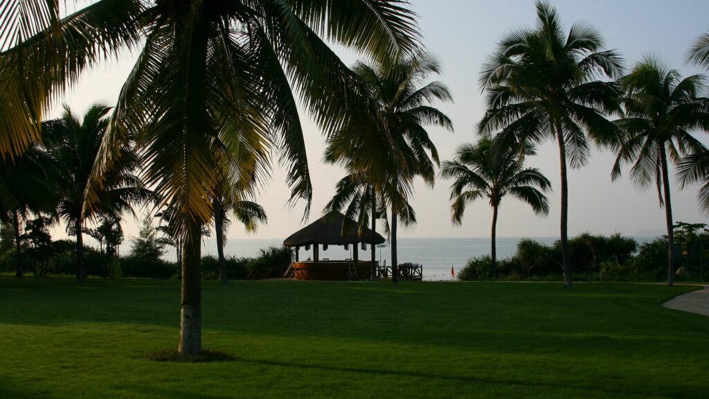 Serene tropical meadow with palm trees arbor and calm sea under soft sunny sky wallpaper background