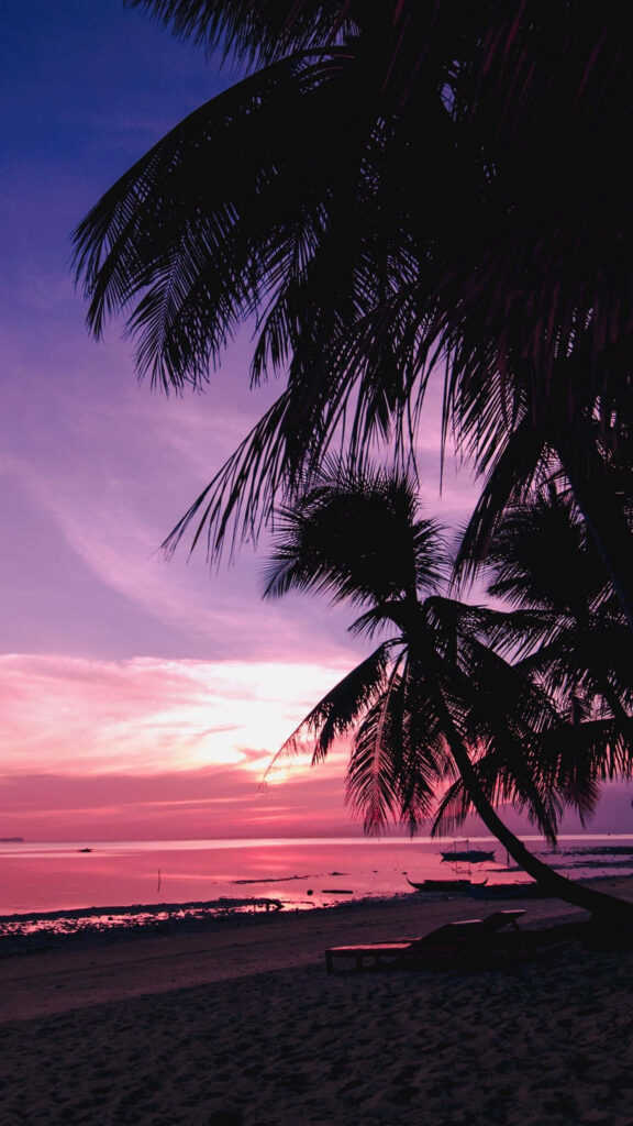 Serene Tropical Paradise Wallpaper: Palm Trees & Sunset Background