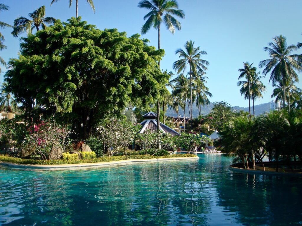Tropical Paradise Wallpaper: Sparkling Pool & Lush Phuket Landscape