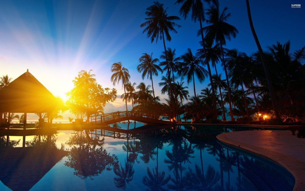 Tropical resort sunrise with reflective pool palm trees wooden bridge golden starburst sky Wallpaper