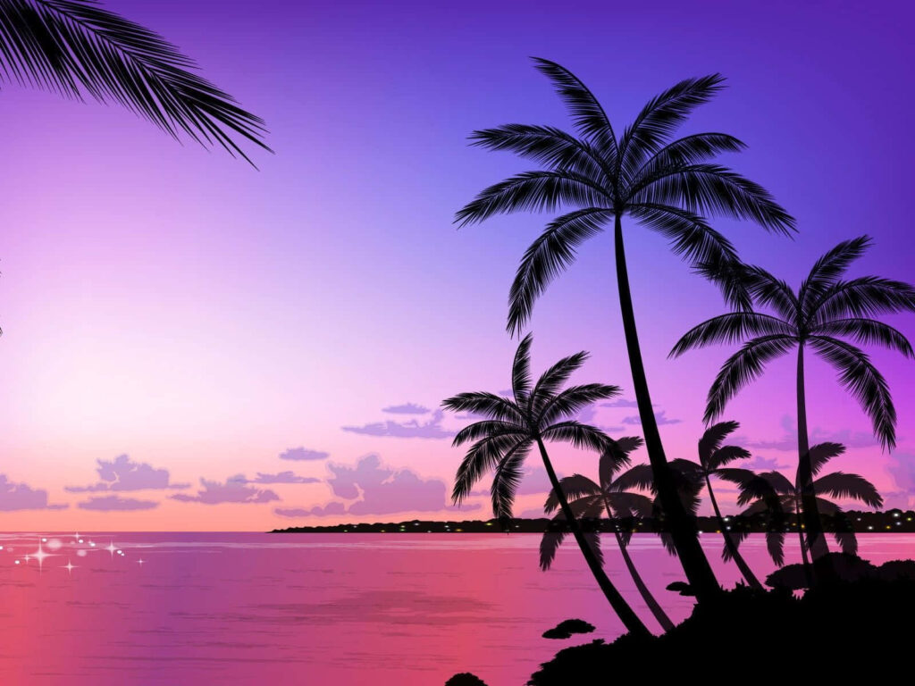Serene Tropical Sunset Wallpaper with Palm Trees and Ocean Reflections