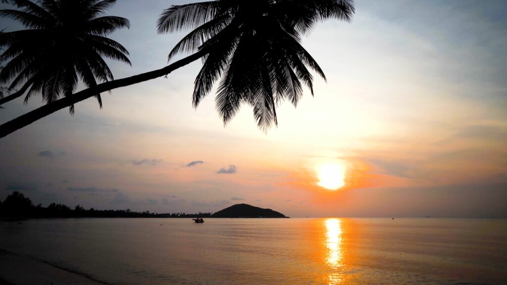 Tropical sunset wallpaper with palm trees glowing sun over calm sea water serene nature scene