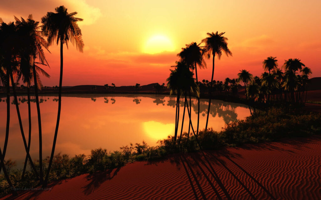 Tropical Sunset Wallpaper: Serenity and Natural Beauty for Your Desktop