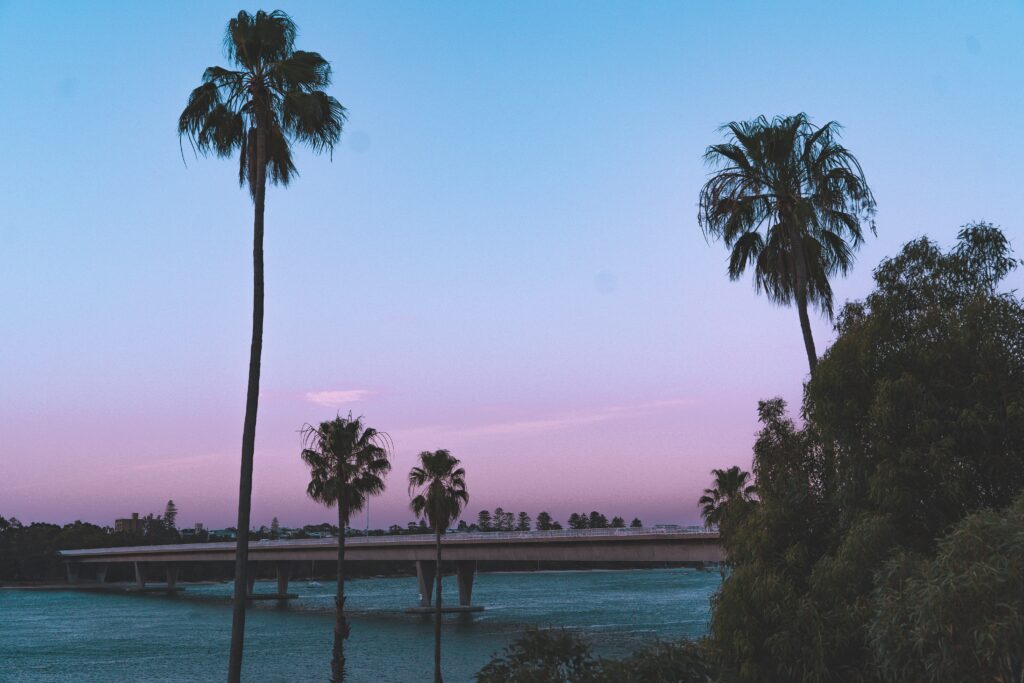 Palm trees silhouetted at sunset with coastal bridge over calm blue waters tropical wallpaper