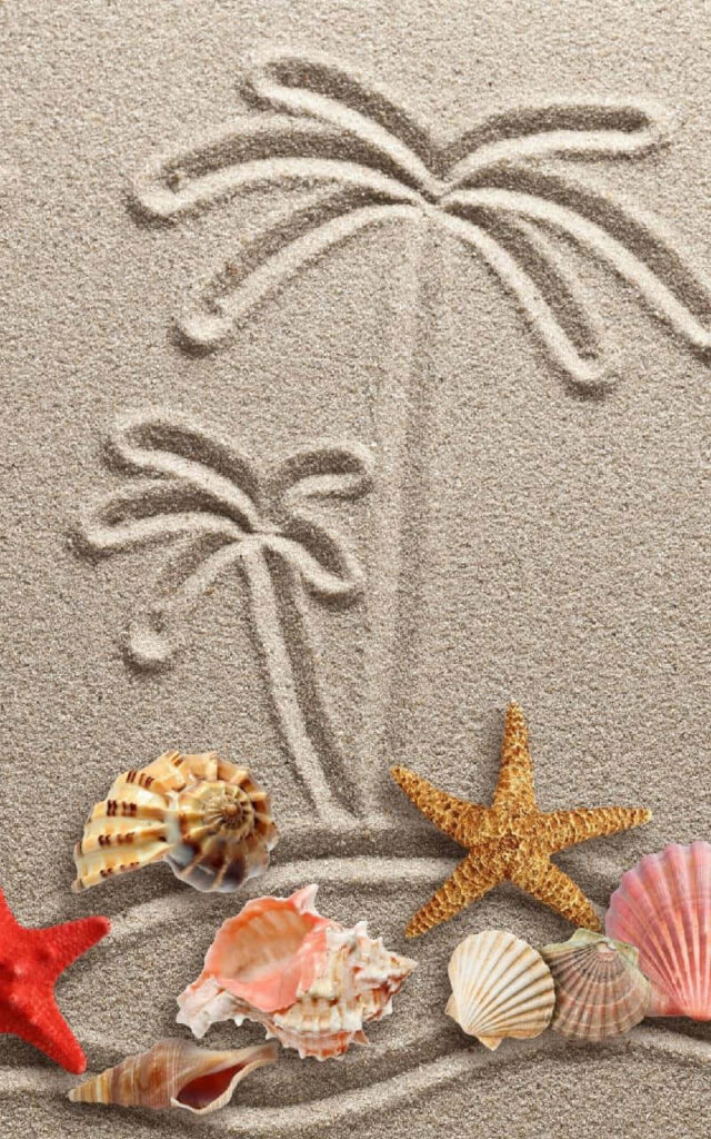 Tropical Beach Wallpaper: Palm Trees, Seashells & Starfish Design