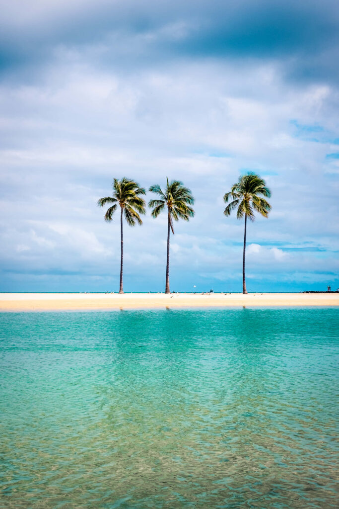 Tropical Wallpaper: Palm Trees & Pristine Sandy Beach Background