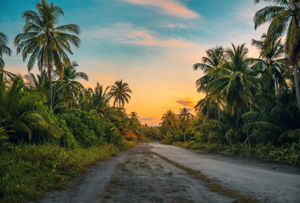 Tropical Sunset Wallpaper: Palm Trees & Tranquil Path in Warm Hues