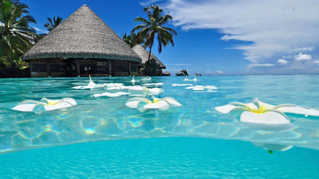 Serene Tropical Wallpaper: Floating White Flowers & Beach Huts