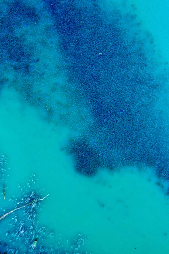 Aerial view of turquoise ocean with underwater algae and gentle water flow serene wallpaper