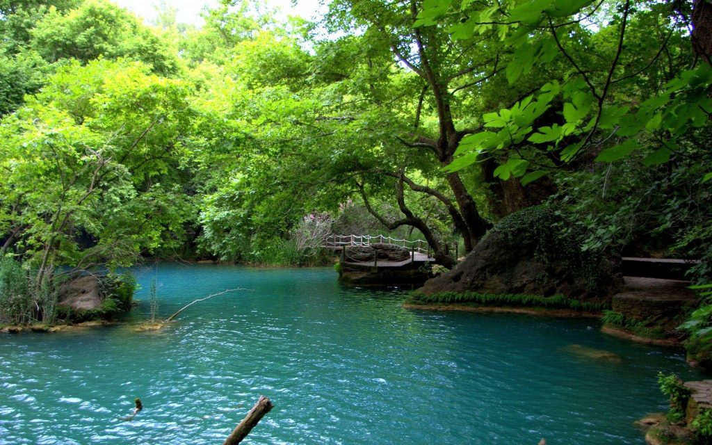 Turquoise forest pond with rustic wooden footbridge sunlight filtering through green canopy Wallpaper