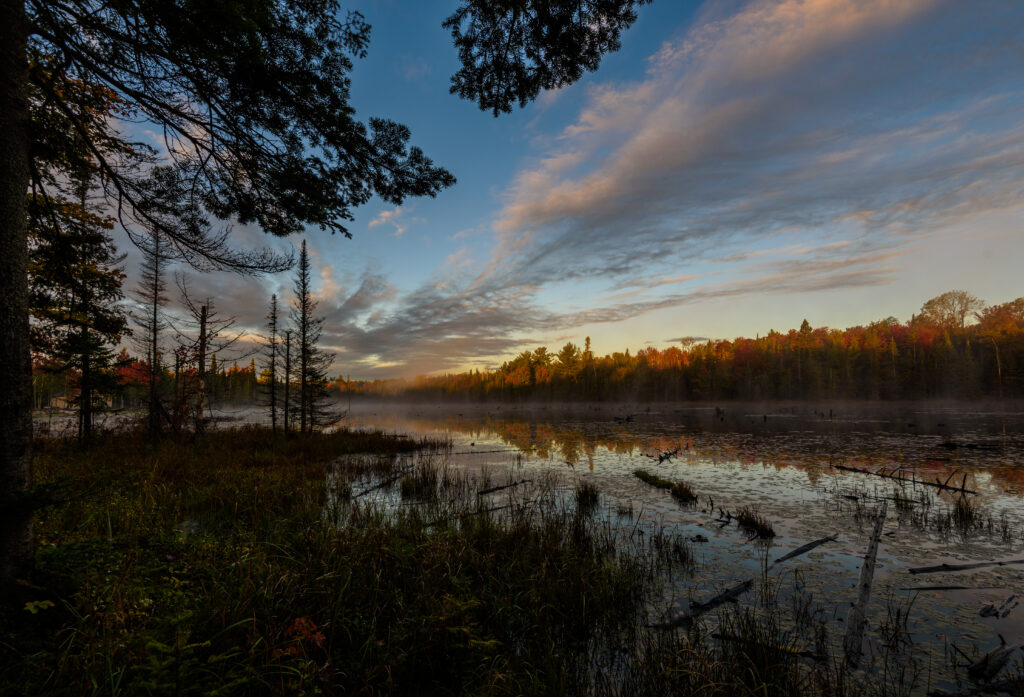 Twilight forest landscape with tall trees and colorful cloud reflections on a calm lake Wallpaper