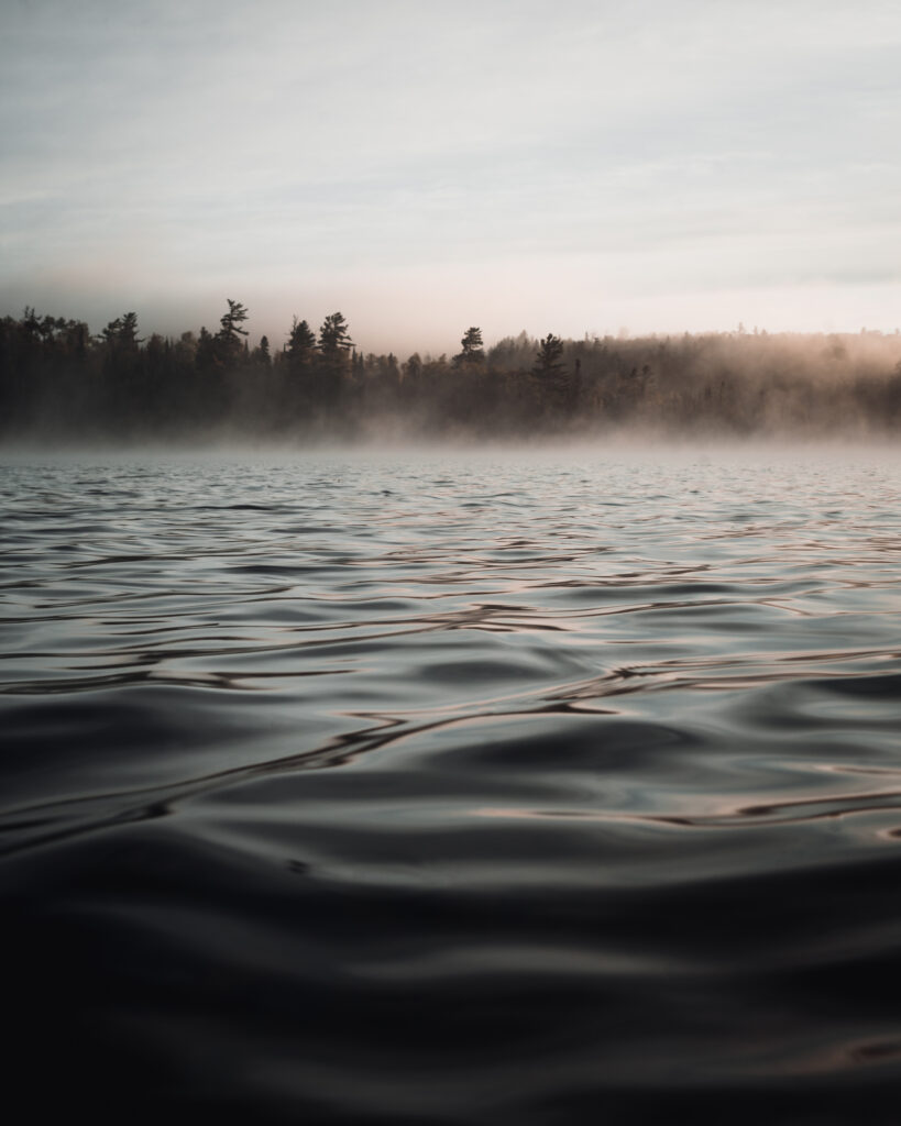 Calm twilight lake with gentle waves fog drifting over water and silhouetted trees background Wallpaper