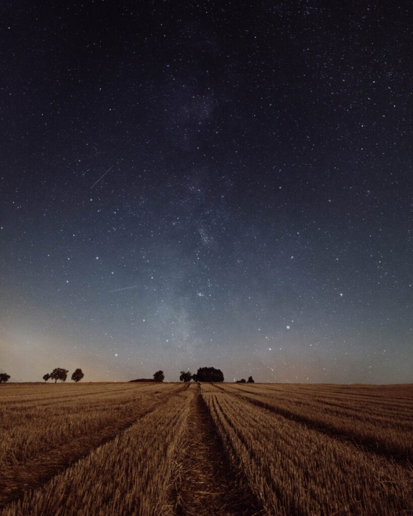 Serene twilight field with golden grass trees under vast starry sky peaceful landscape wallpaper