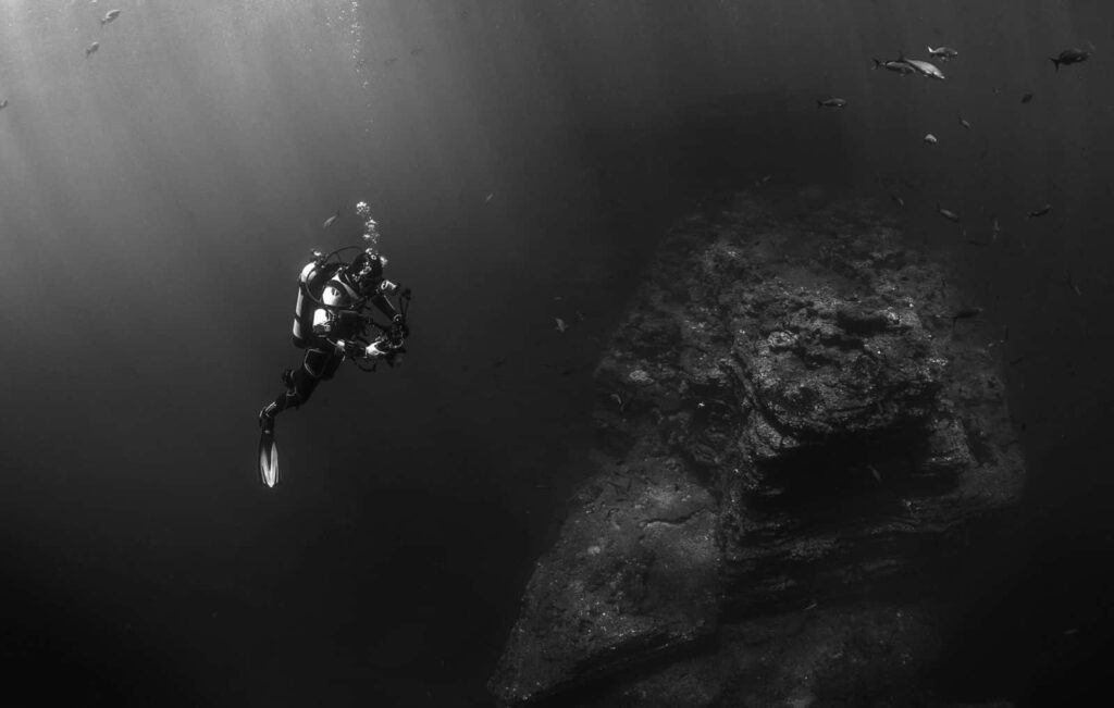 Serene Monochromatic Wallpaper: Diver & Ocean Floor Bliss
