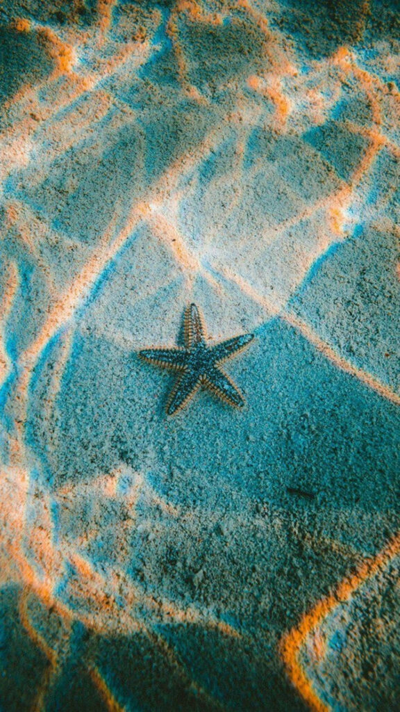 Serene Underwater Wallpaper: Starfish with Prism Light Patterns