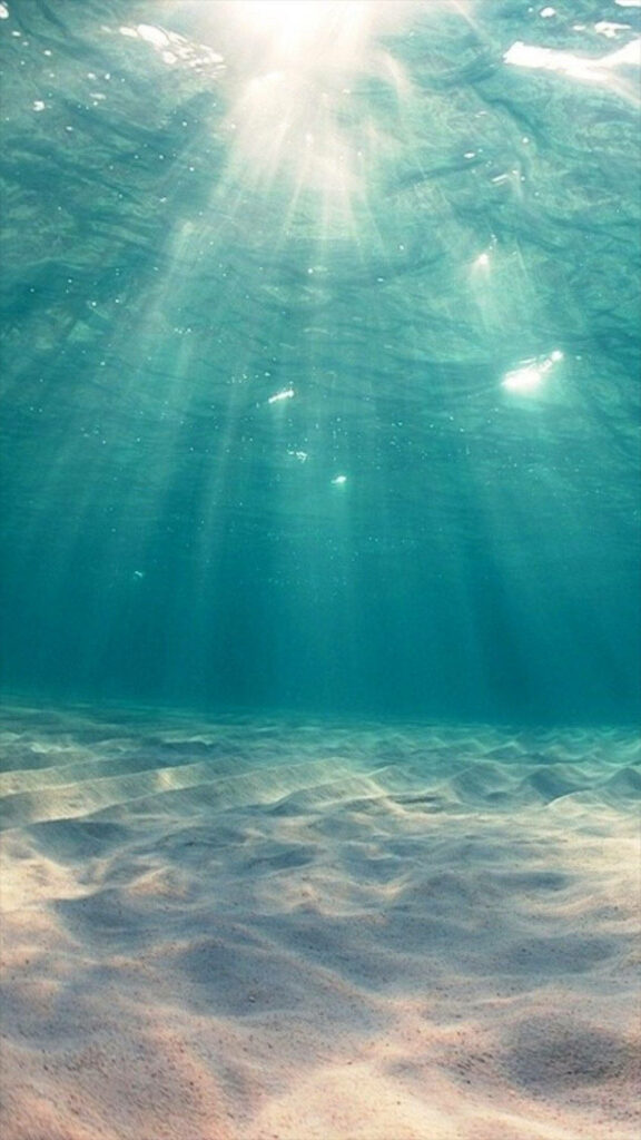 Serene Underwater Wallpaper: Sunlight Dances on Sandy Ocean Floor