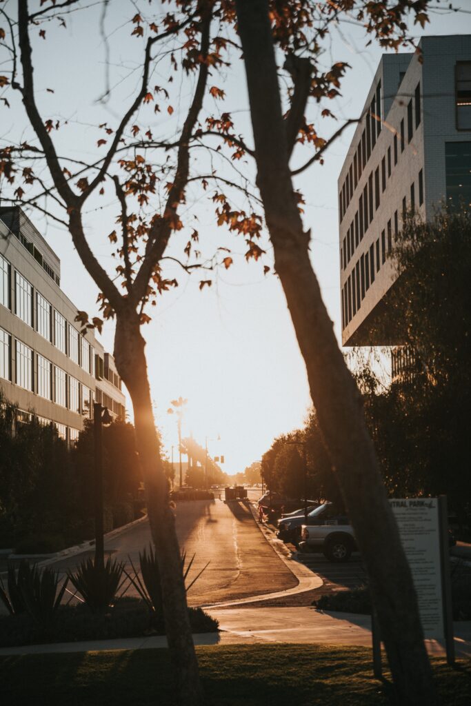 Serene Urban Street Wallpaper: Modern Buildings & Warm Sunlight