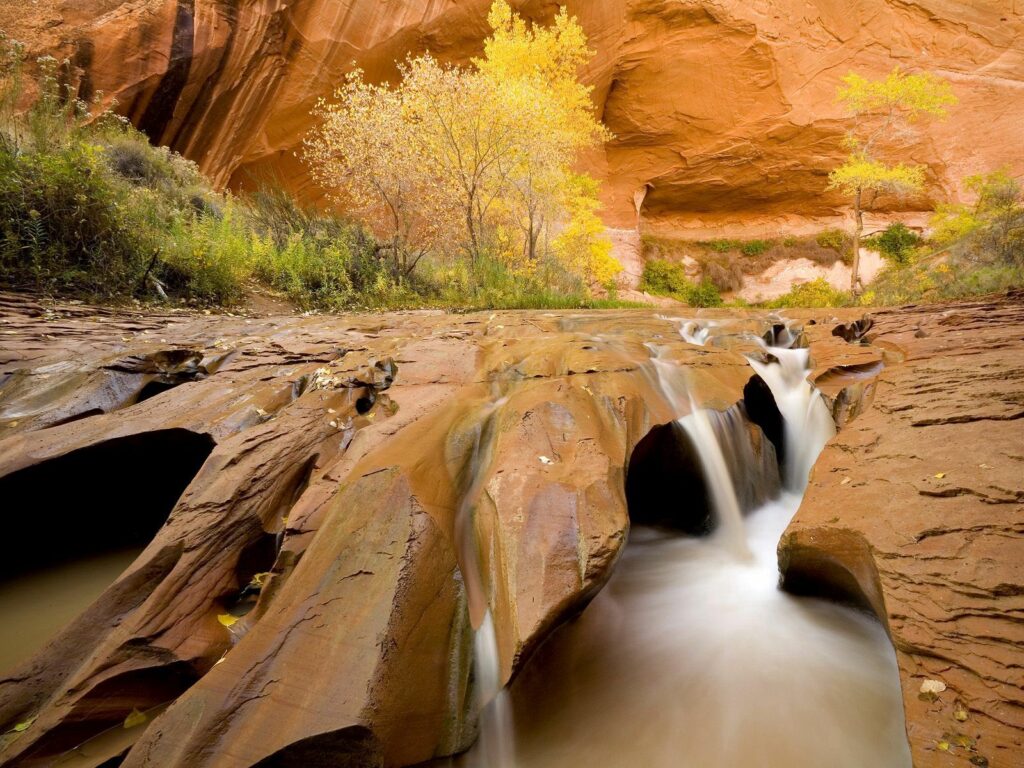 Utah canyon wallpaper with gentle stream smooth stones autumn gold trees and rocky landscape