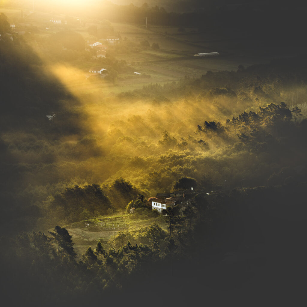 Serene valley with houses among lush trees bathed in warm morning sunlight and mist wallpaper