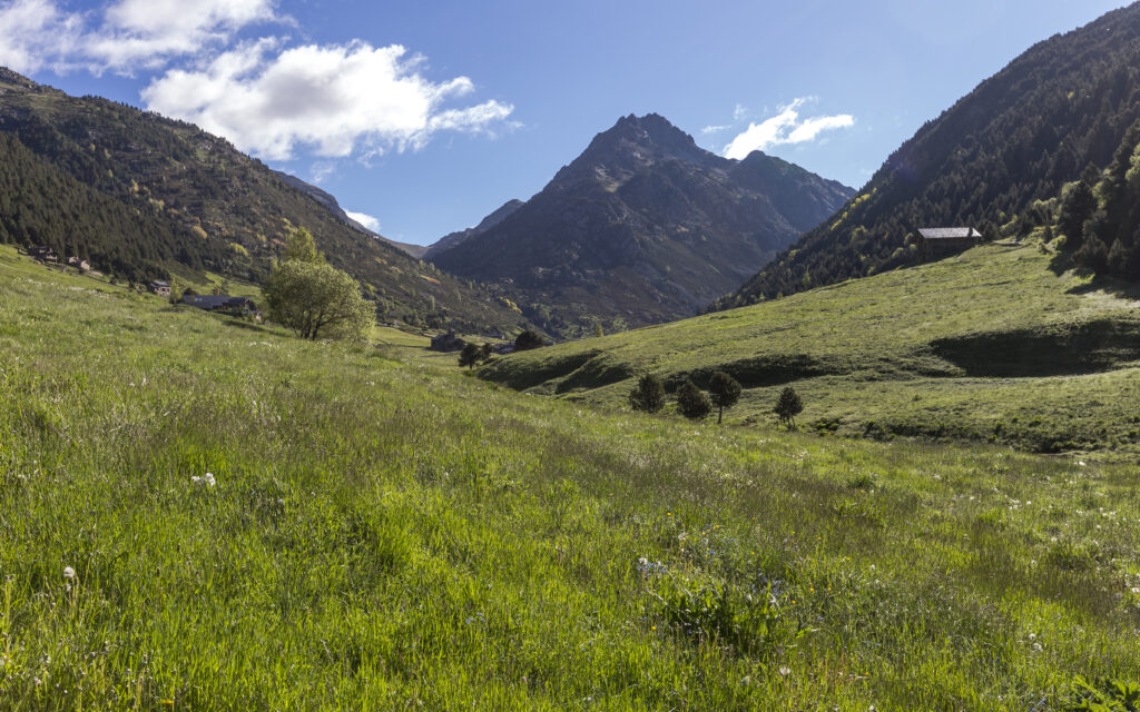 Serene valley with lush green grass rolling hills and majestic mountains under clear blue sky wallpaper