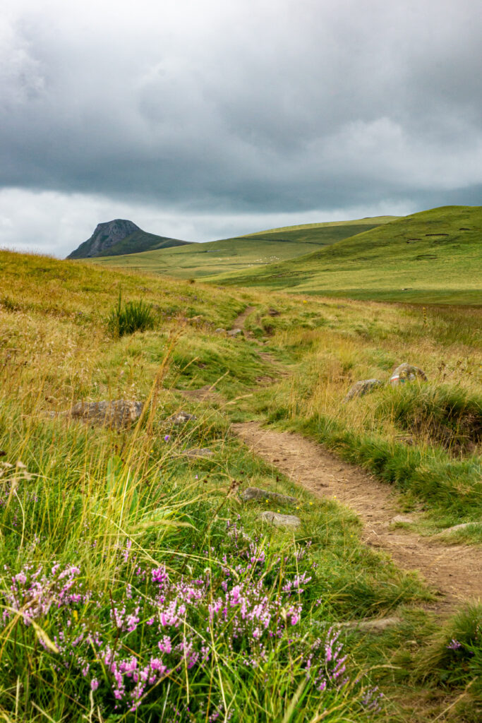 Serene valley with rolling green hills winding dirt path tall grass wildflowers under cloudy sky wallpaper