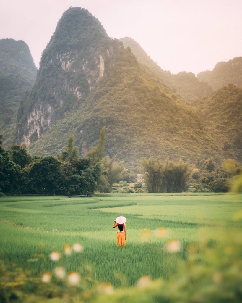 Woman in conical hat in green Vietnamese rice field with limestone mountains iPhone wallpaper