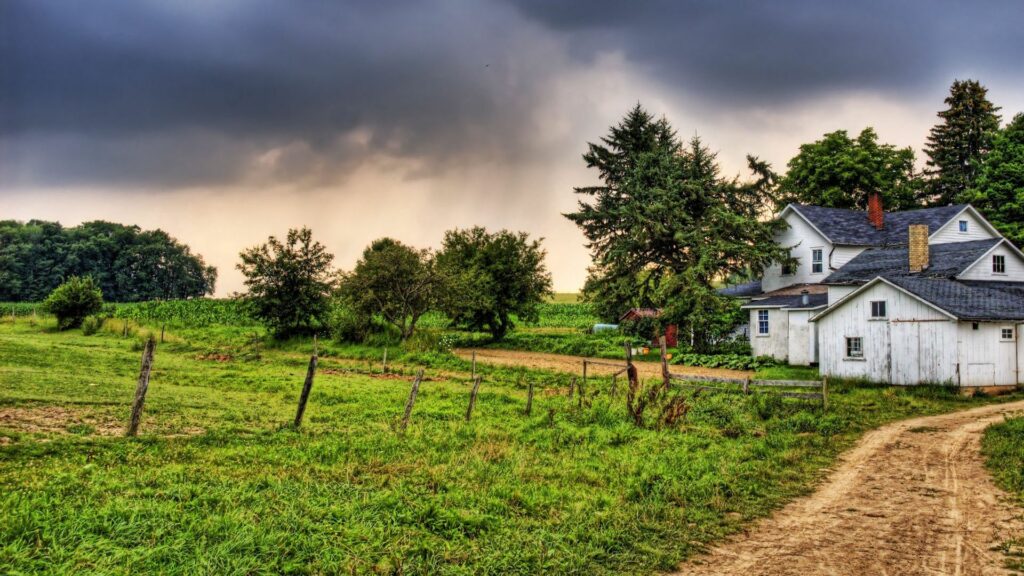 Serene Village Wallpaper: Lush Grass, Trees & Dramatic Sky HDR