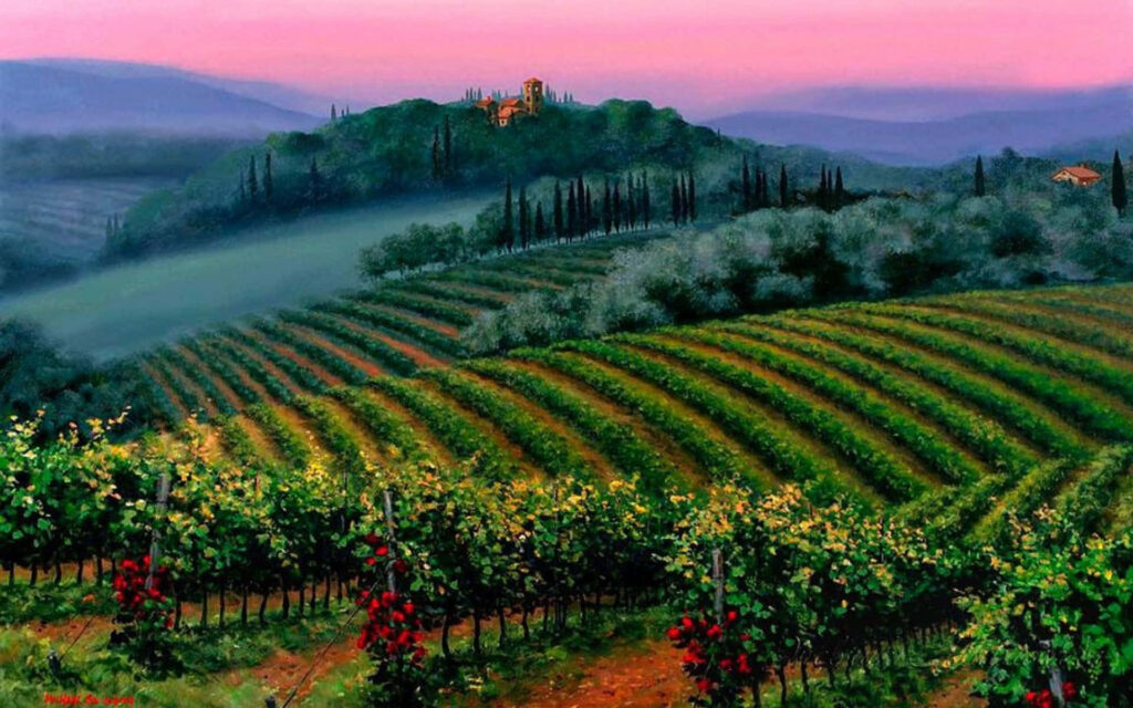 Serene French Vineyard Sunset Wallpaper: Lush Grape Vines & Hills