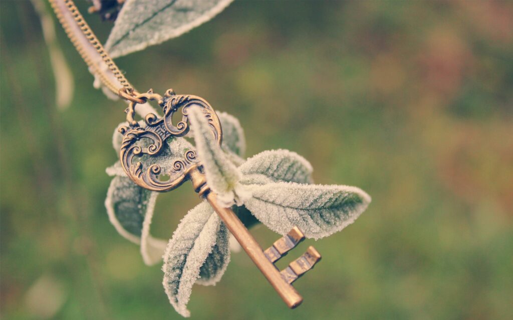 Vintage Key Close-Up with Frosted Leaves | Serene Wallpaper Background