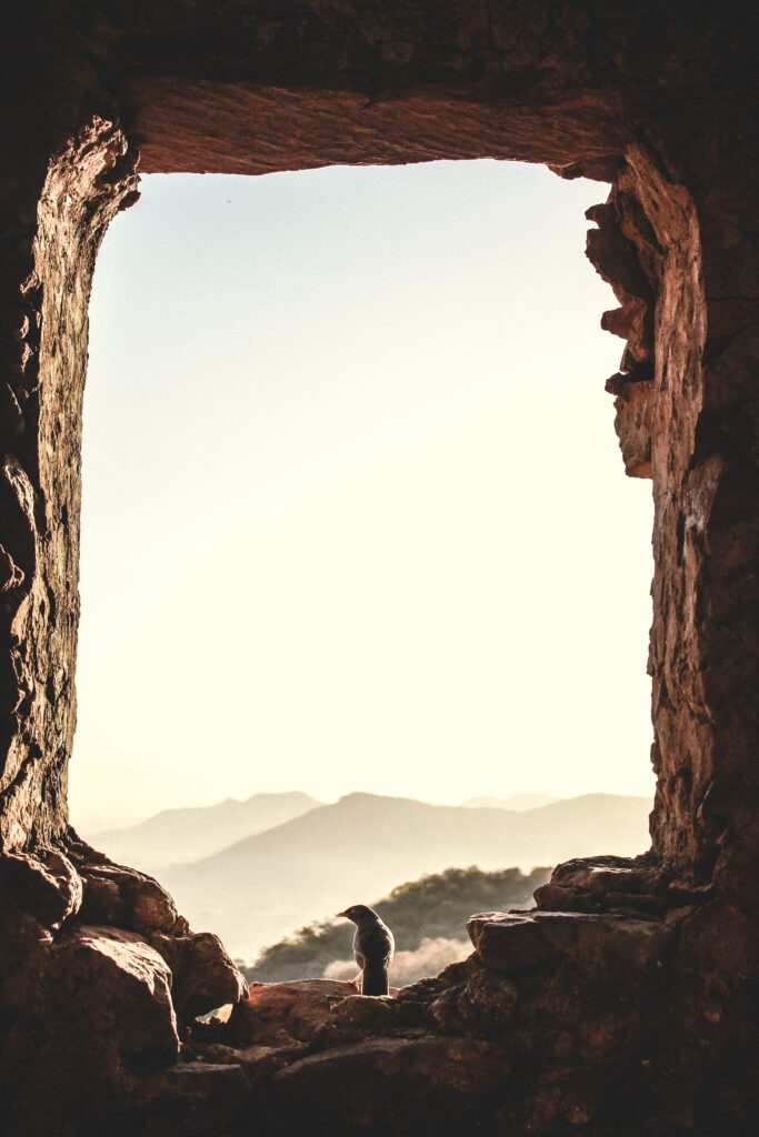 Serene Wallpaper: Bird on Stone Window with Distant Golden Mountains