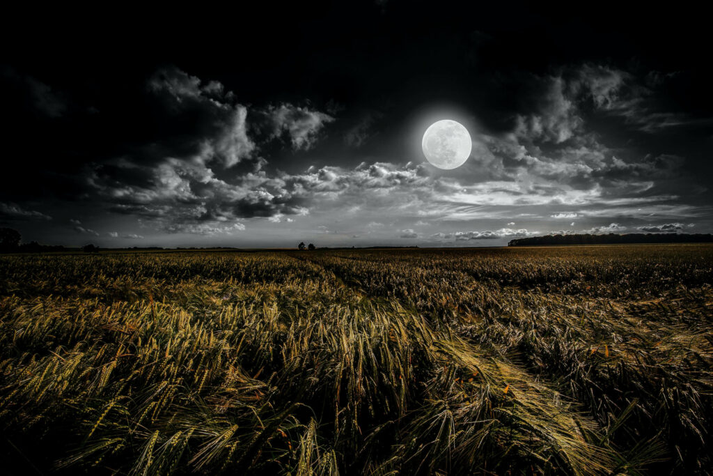 Serene Moonlit Wallpaper: Bright Full Moon Over Dramatic Night Sky