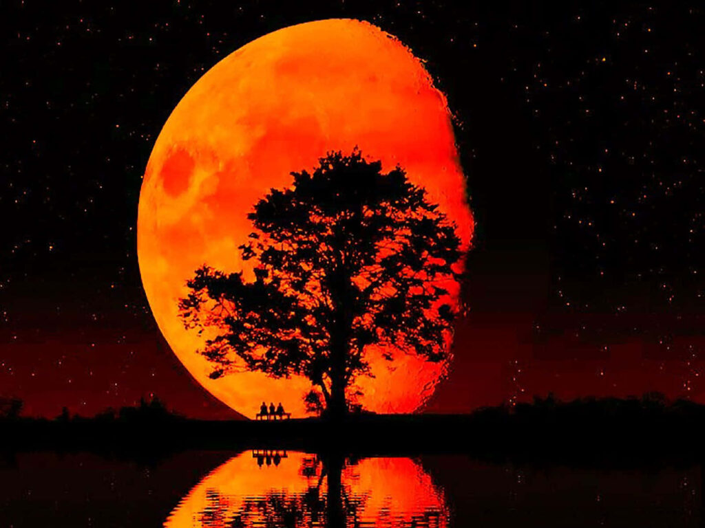 Serene Wallpaper: Glowing Red Moon, Silhouetted Tree & Calm Water