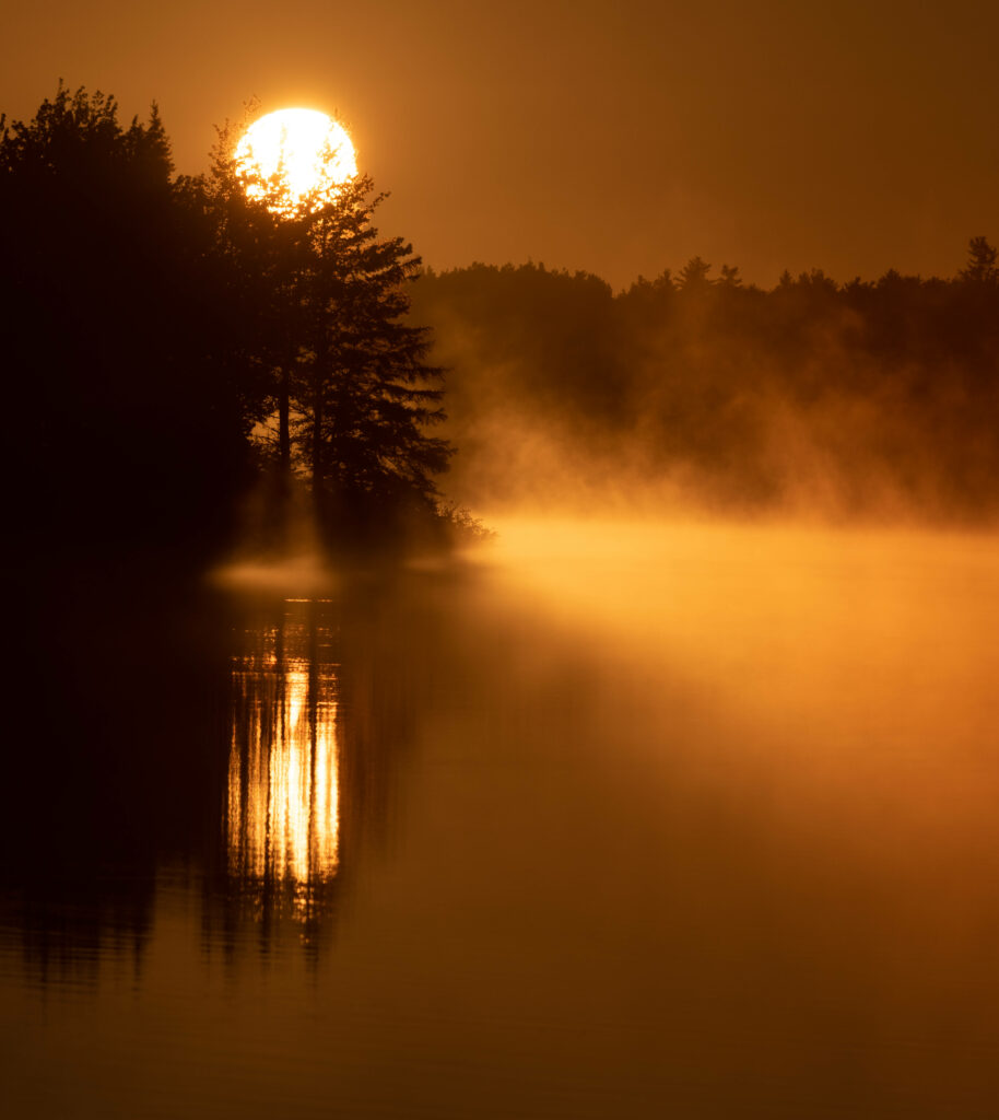 Tranquil Foggy Forest Wallpaper: Golden Sunrise & Mystical Reflections