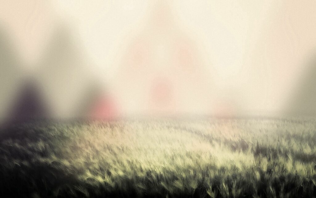 Tranquil Grass Field Wallpaper: Soft Light & Misty Fog Background
