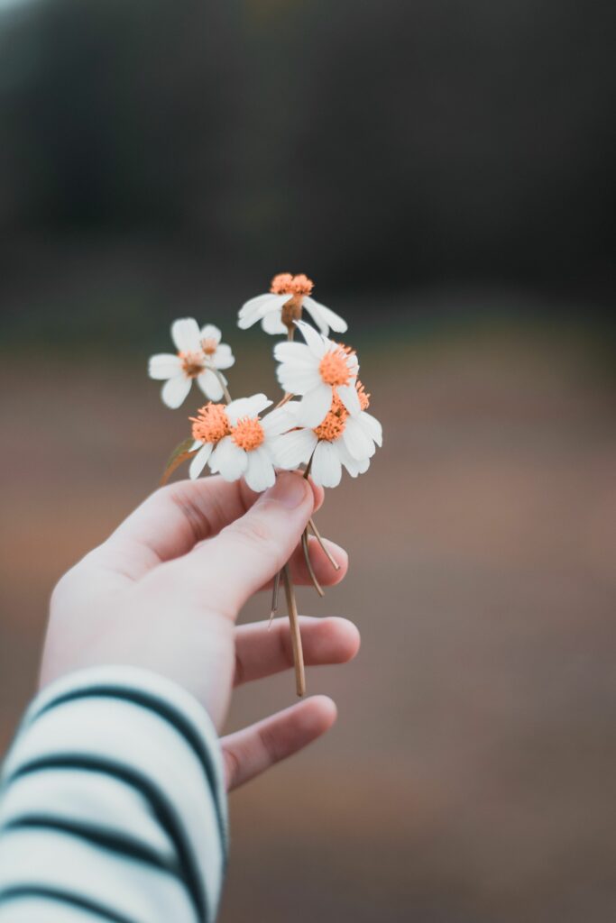 Tranquil Wallpaper: Hand Holding Delicate White Flowers in Soft Focus