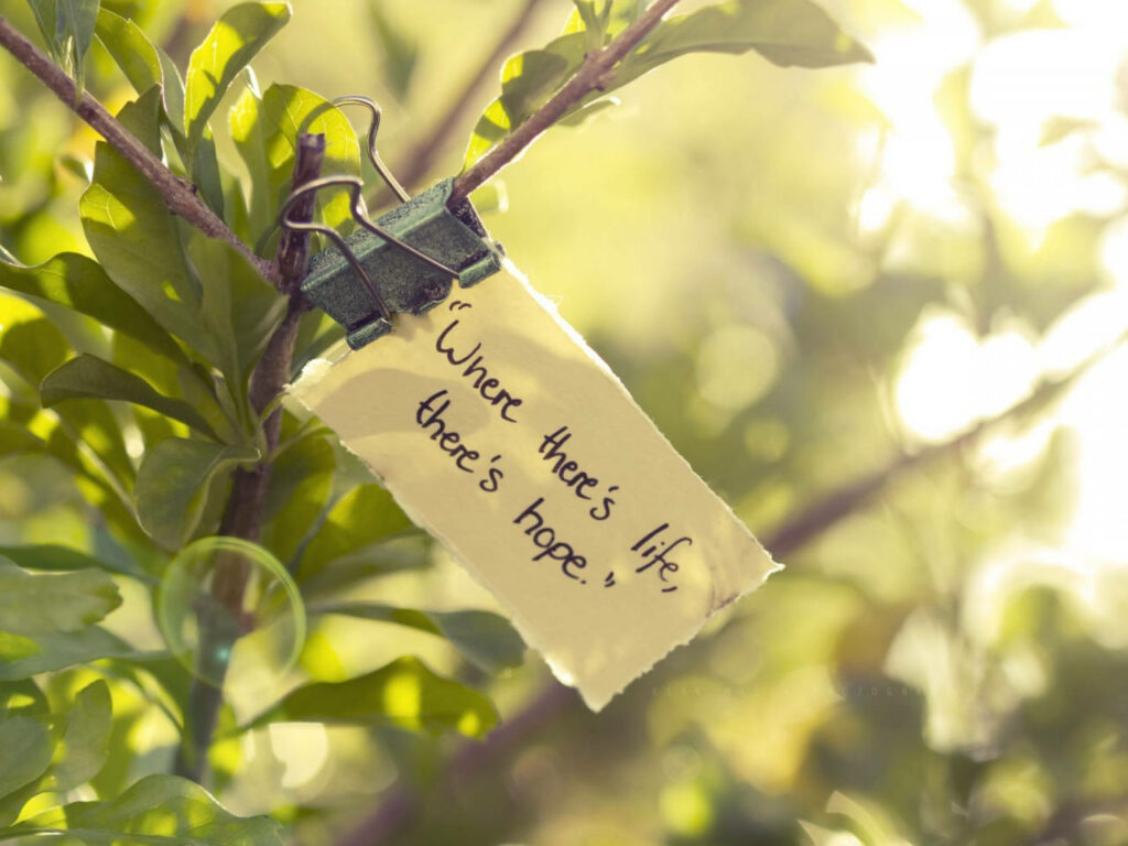 Serene Wallpaper: Hopeful Quote on Leafy Branch with Sunlight