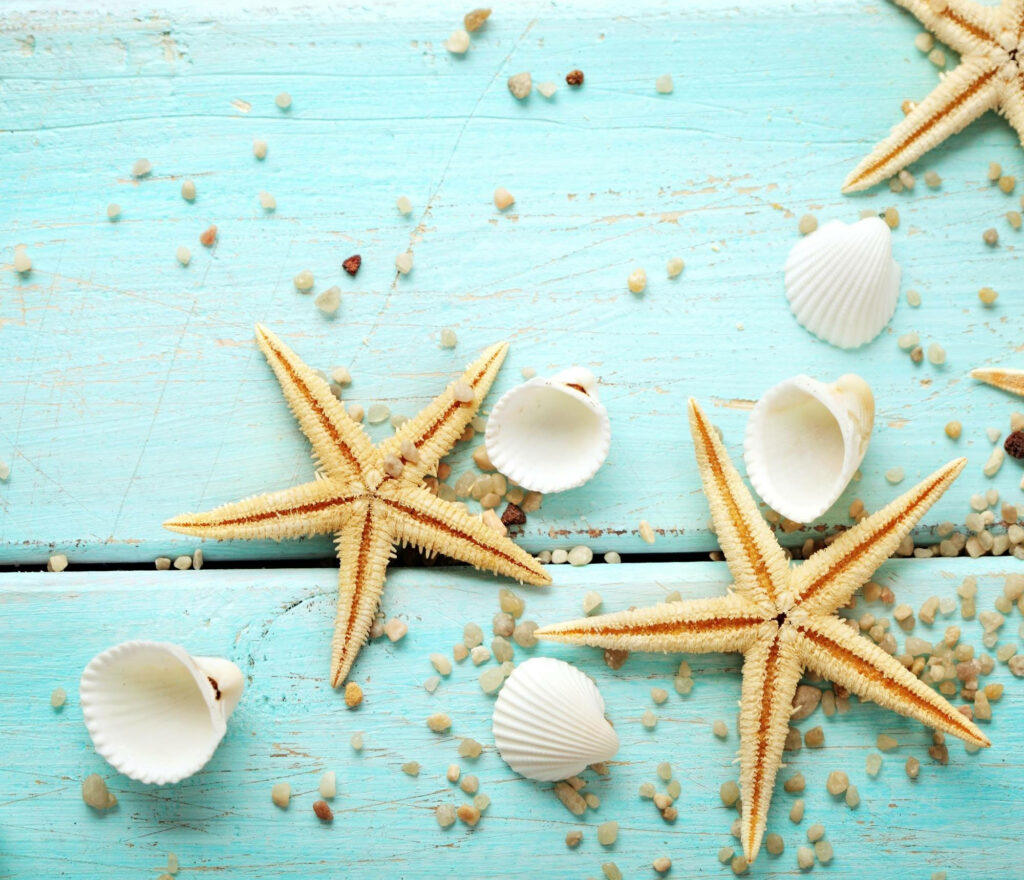 Coastal Serenity: Light Brown Starfish & White Shells Wallpaper