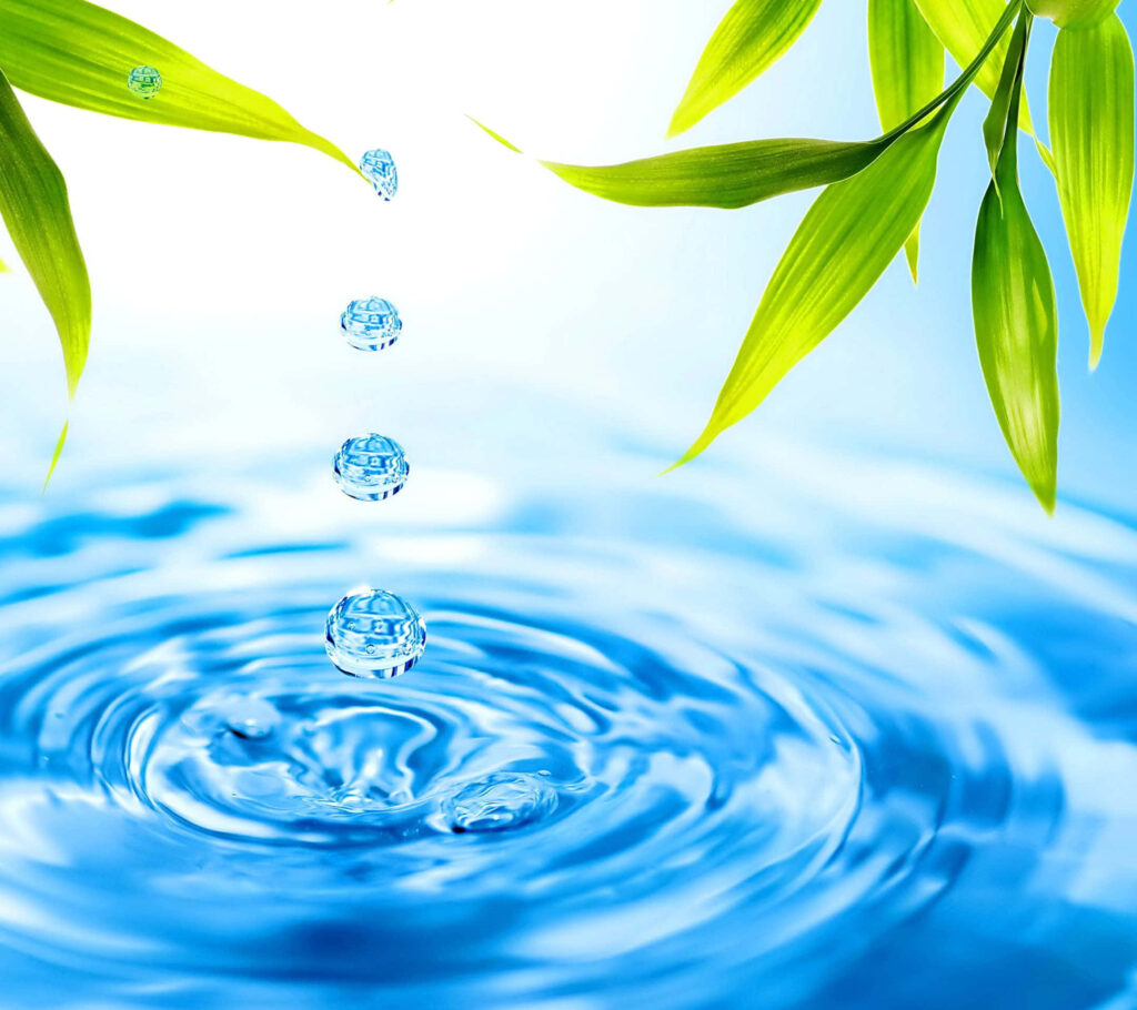 Serene Water Drop Ripple Wallpaper with Green Leaves Background