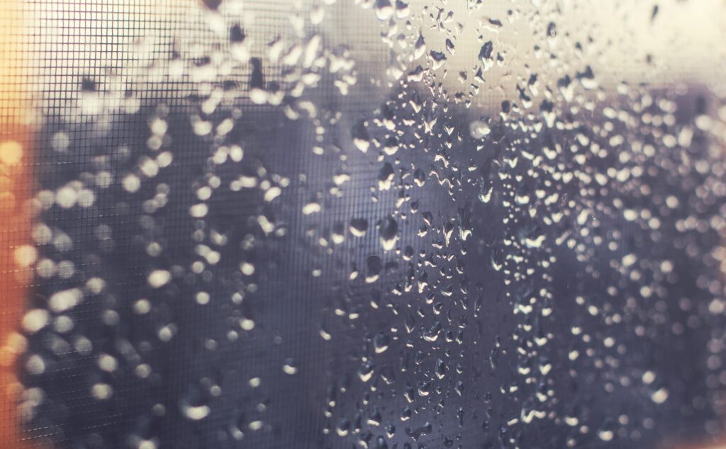 Serene Wallpaper: Water Drops on Glass with Blurred Background