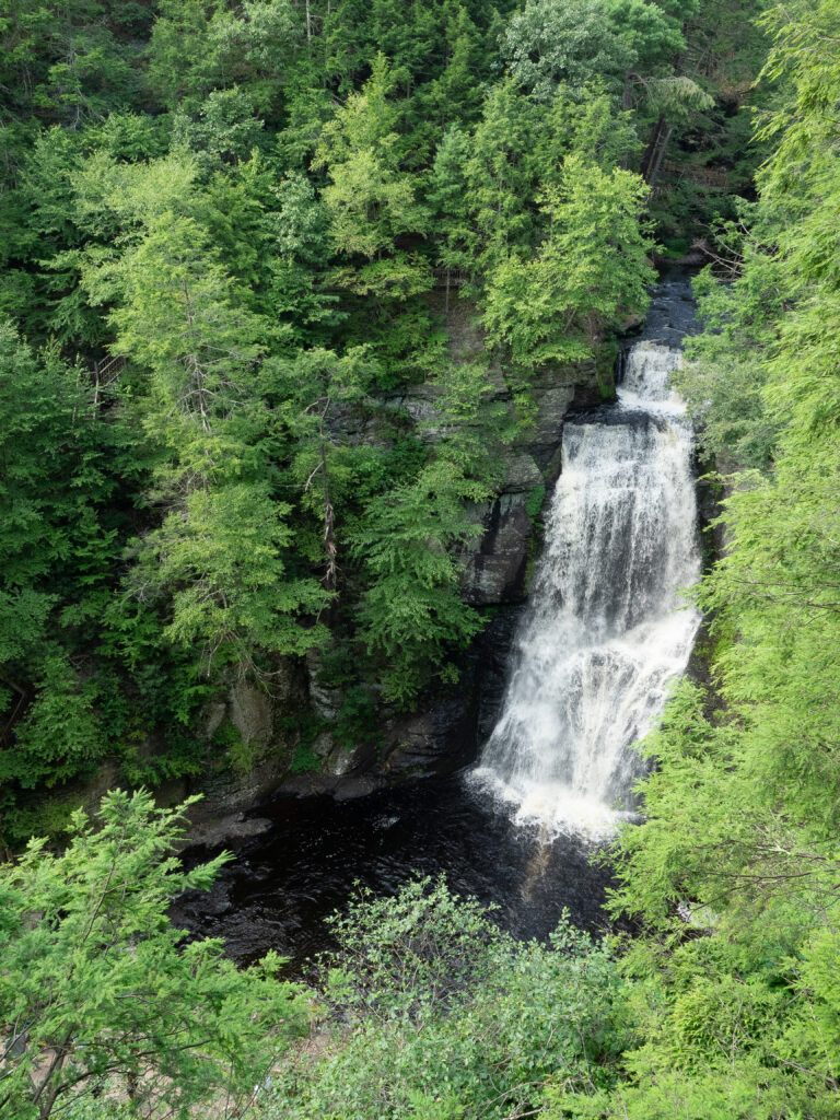 Serene waterfall cascading over rocks surrounded by lush green forest and vibrant nature Wallpaper