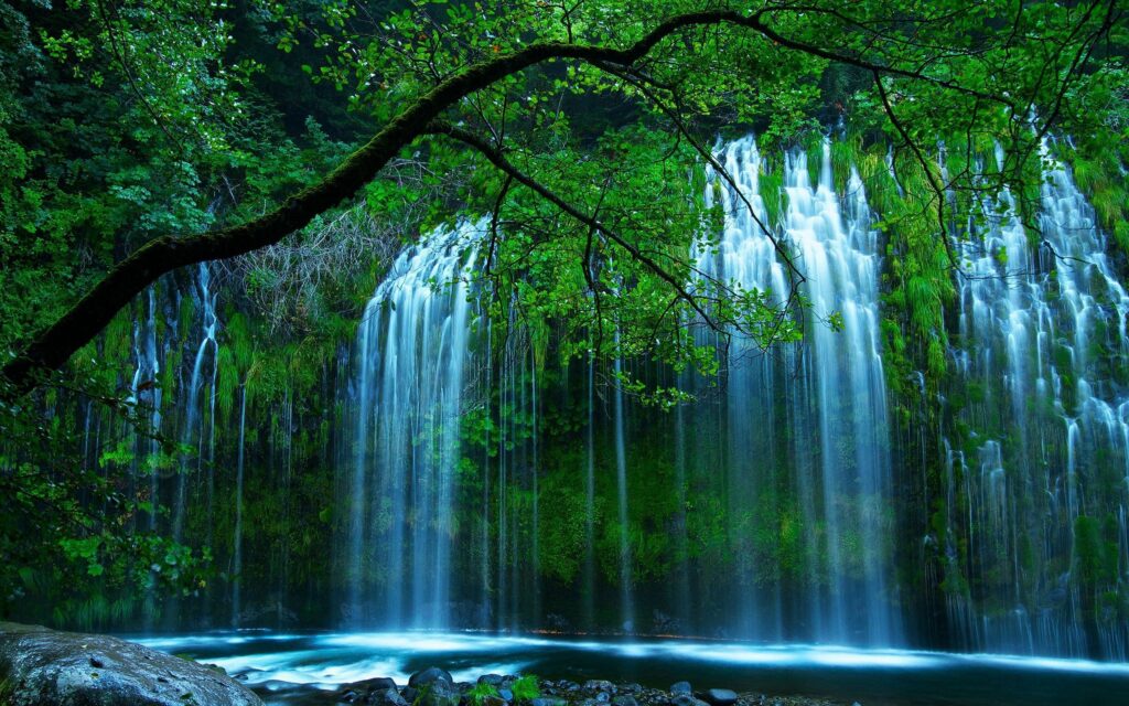 Serene waterfall flowing through lush green trees over mossy rocks in peaceful nature scene wallpaper