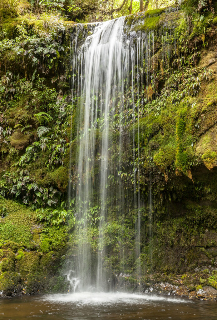 Serene waterfall cascading over mossy cliff surrounded by lush greenery and ferns wallpaper