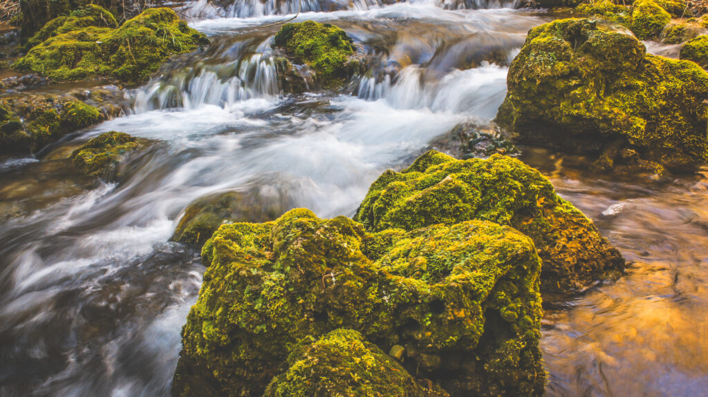 Serene waterfall over mossy stones with vibrant green foliage creating a tranquil nature scene Wallpaper