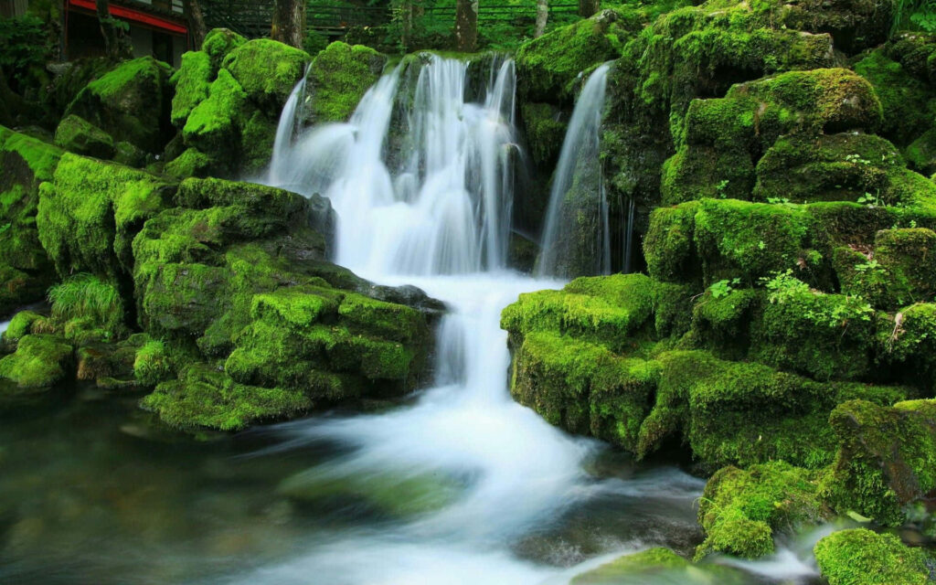 Tranquil Waterfall Wallpaper: Lush Forest & Serene Ambiance