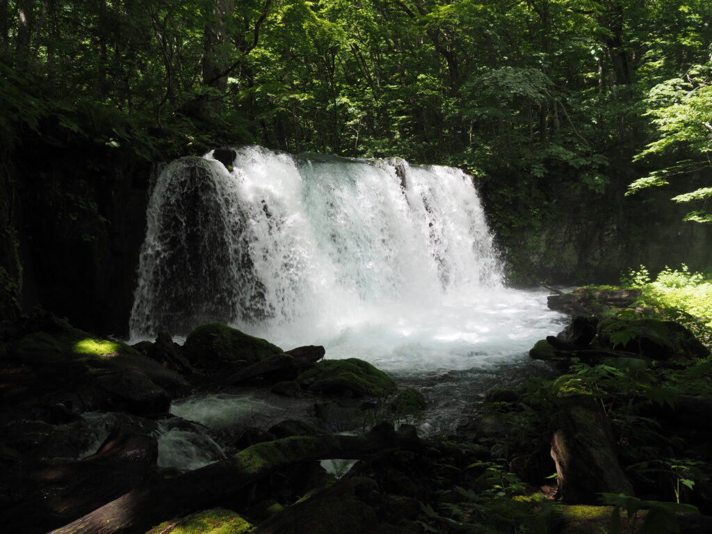 Vibrant waterfall cascading over rocks with lush green trees and mossy logs in nature wallpaper