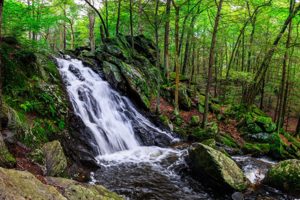 Serene waterfall over mossy rocks surrounded by lush green forest vibrant nature wallpaper background
