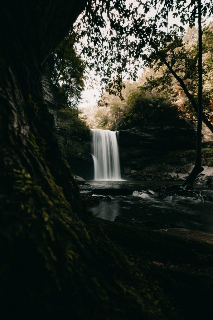 Serene waterfall cascading over rugged cliff with mossy stones and lush green trees background Wallpaper